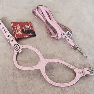 Buddy Belt Harness with Leash  ( NEW )
